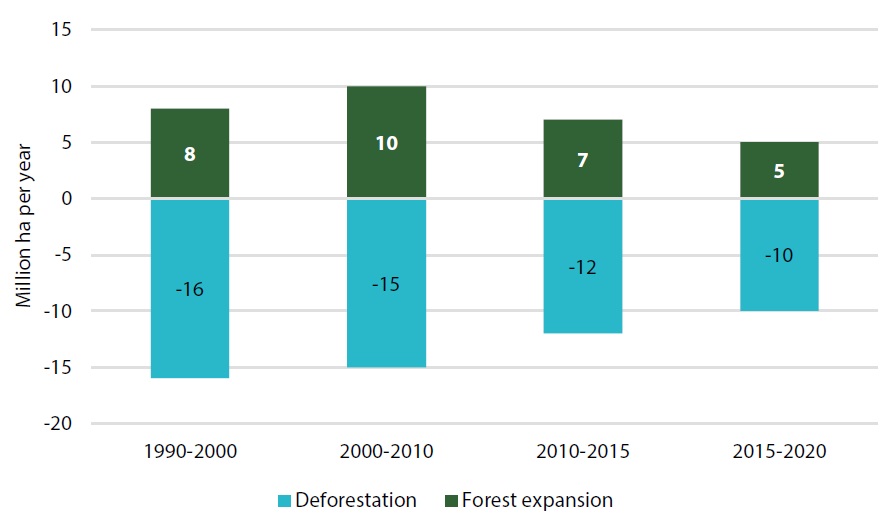 Chart 2: Annual rate of forest expansion and deforestation, 1990–2020