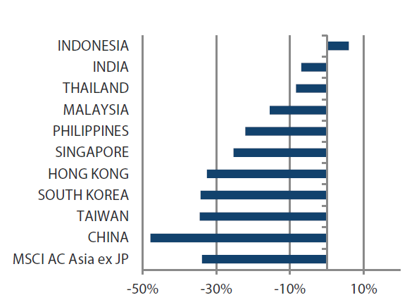 MSCI AC Asia ex Japan Index year