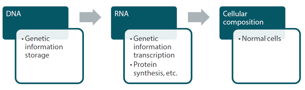 Relationship between genes and cell composition