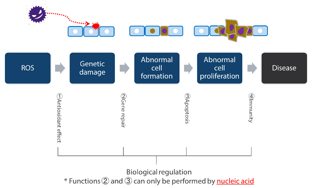 Biological regulation abilities humans possess