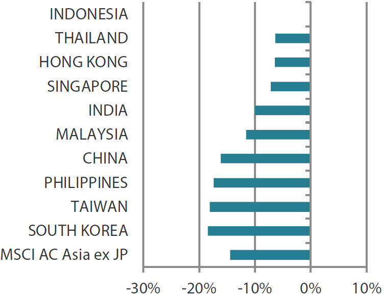 MSCI AC Asia ex Japan Index year