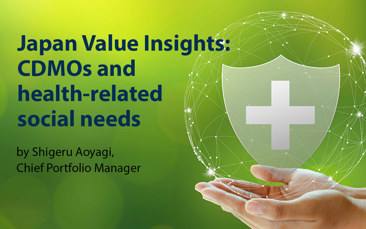 Japan Value Insights