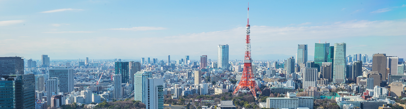 Nikko AM Japan Cash-Rich Company Equity Nikko AM Japan Cash-Rich Company Equity