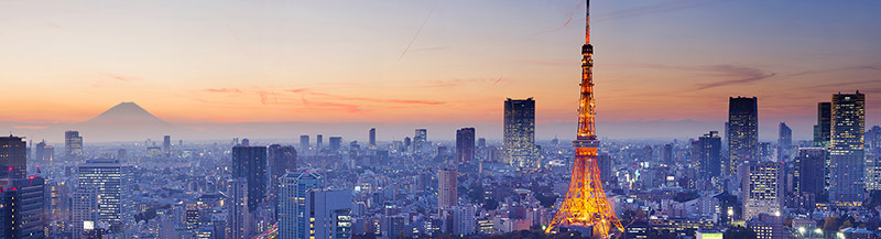 Nikko Asset Management Japan Dividend Equity strategy Nikko Asset Management Japan Dividend Equity strategy