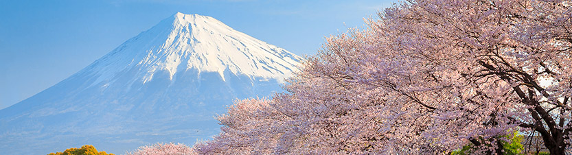 Nikko Asset Management Japan Value Equity Nikko Asset Management Japan Value Equity