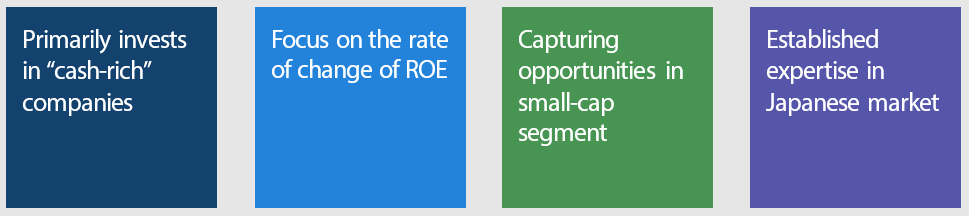 Japan Cash-Rich Company Equity Key Characteristics